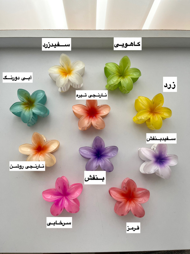 کلیپس پلومریا (سیران) سایز بزرگ